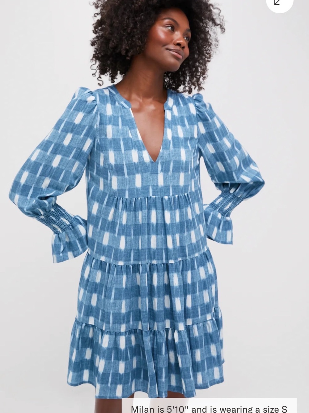 Tuckernuck Pomander Heart Blue gingham ikat V-Neck Tiered Long-Sleeve Dress